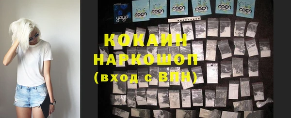 сатива Аркадак