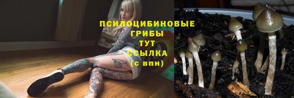 крисы Арсеньев