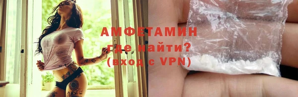 сатива Аркадак