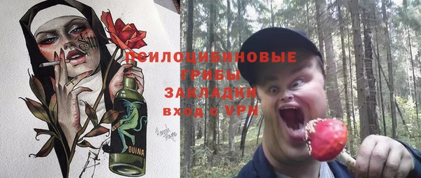 крисы Арсеньев