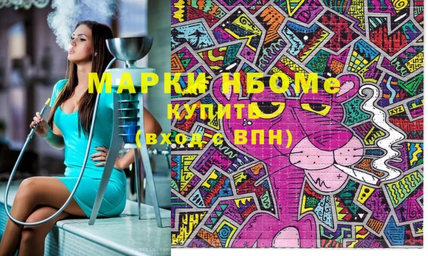 сатива Аркадак