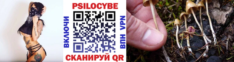 что такое наркотик  Тейково  blacksprut tor  Псилоцибиновые грибы Psilocybine cubensis 